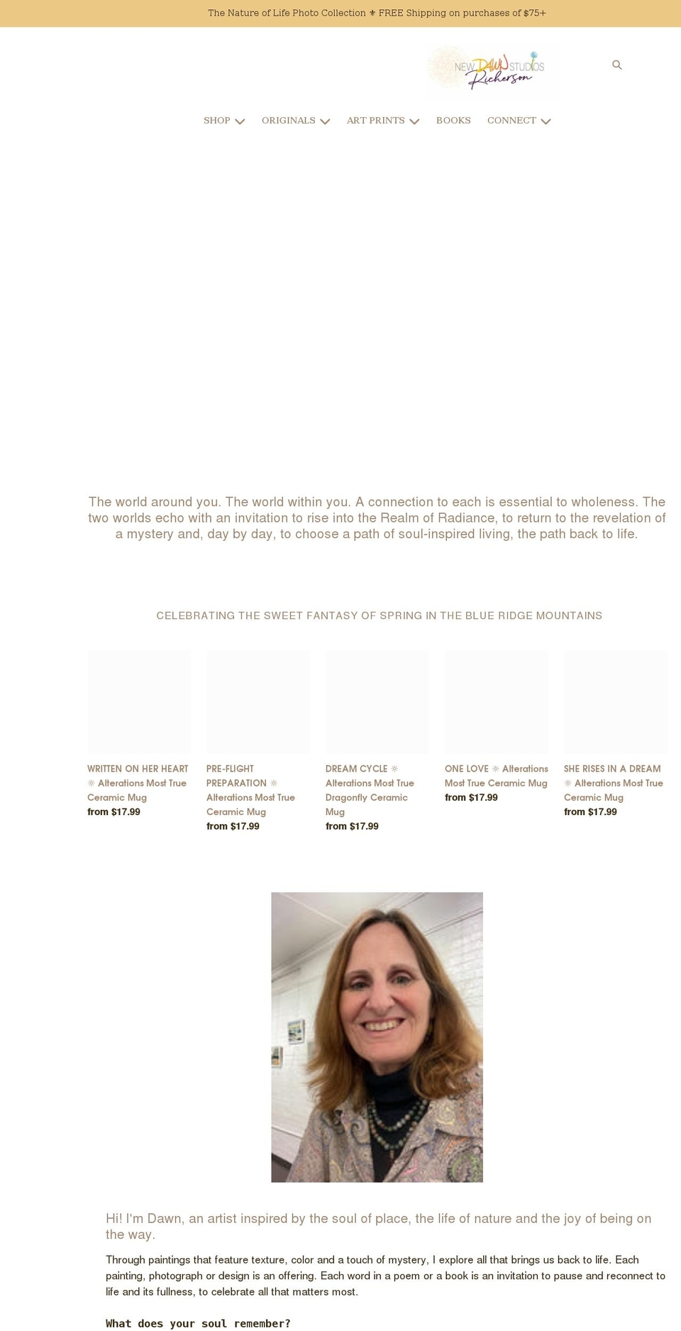 dawnricherson.com shopify website screenshot