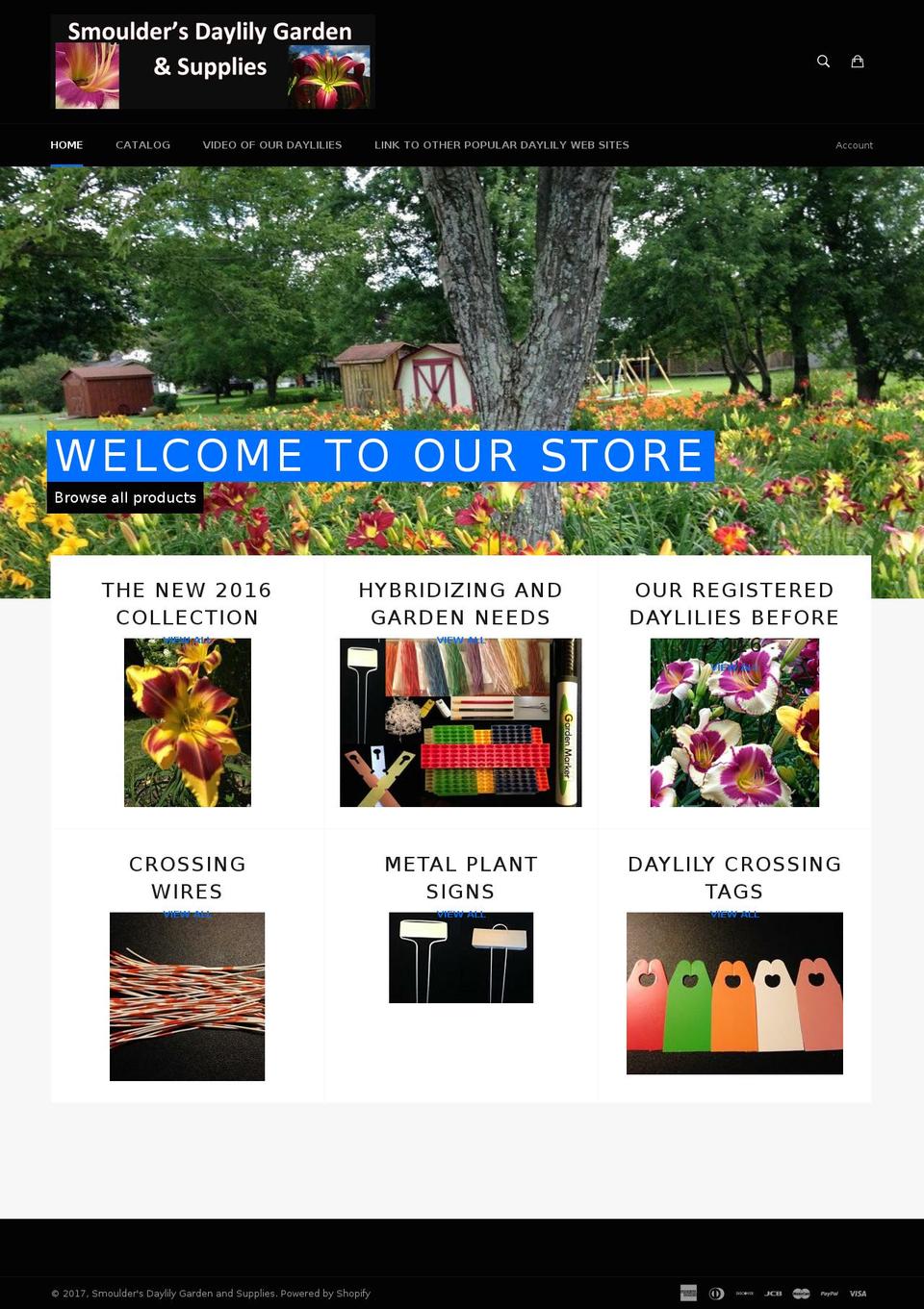 daylilysupply.com shopify website screenshot