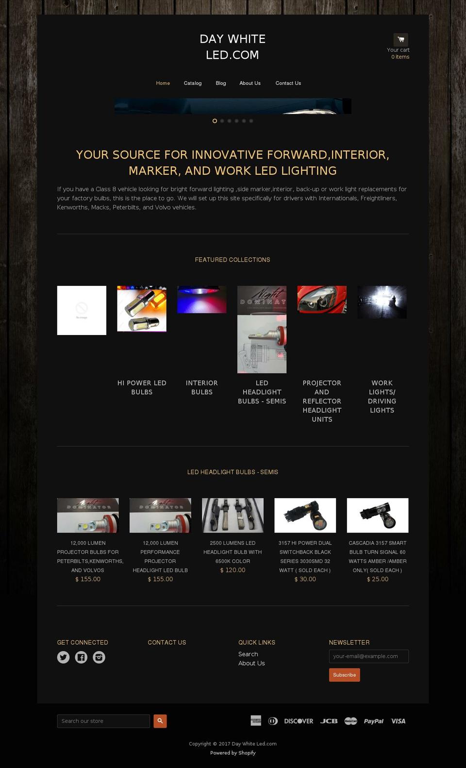 daywhiteled.com shopify website screenshot