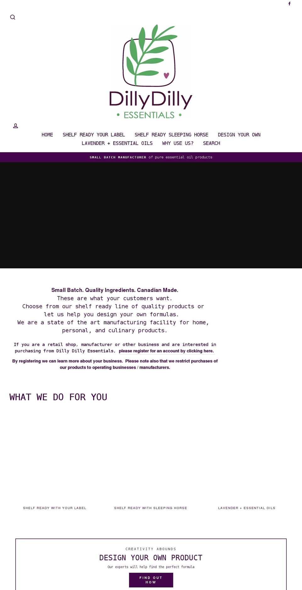 ddessentials.com shopify website screenshot