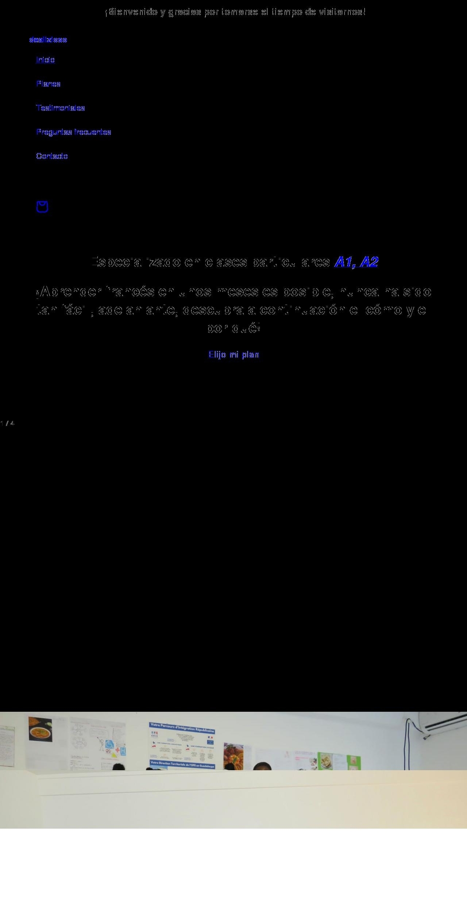 dealizioso.com shopify website screenshot