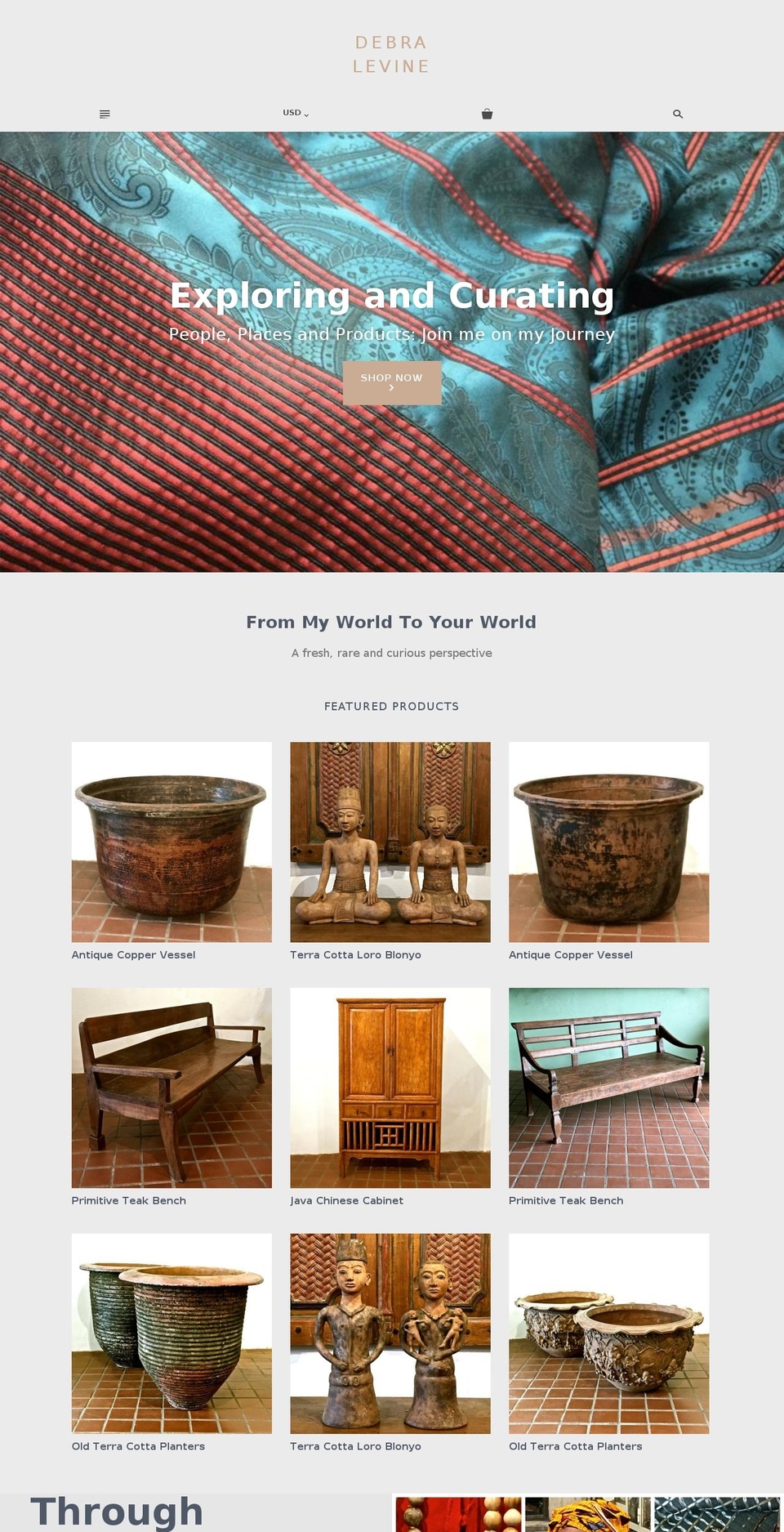 debralevine.com shopify website screenshot