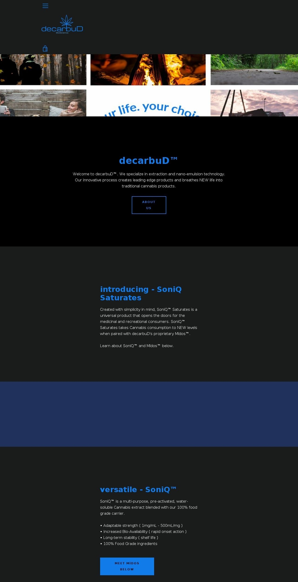 decarbud.com — Shopify storefront screenshot