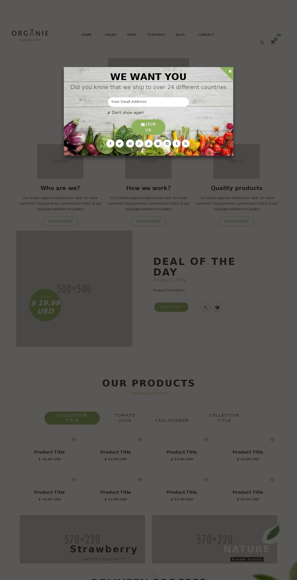 organie-shop Shopify theme site example decorpleasure.com