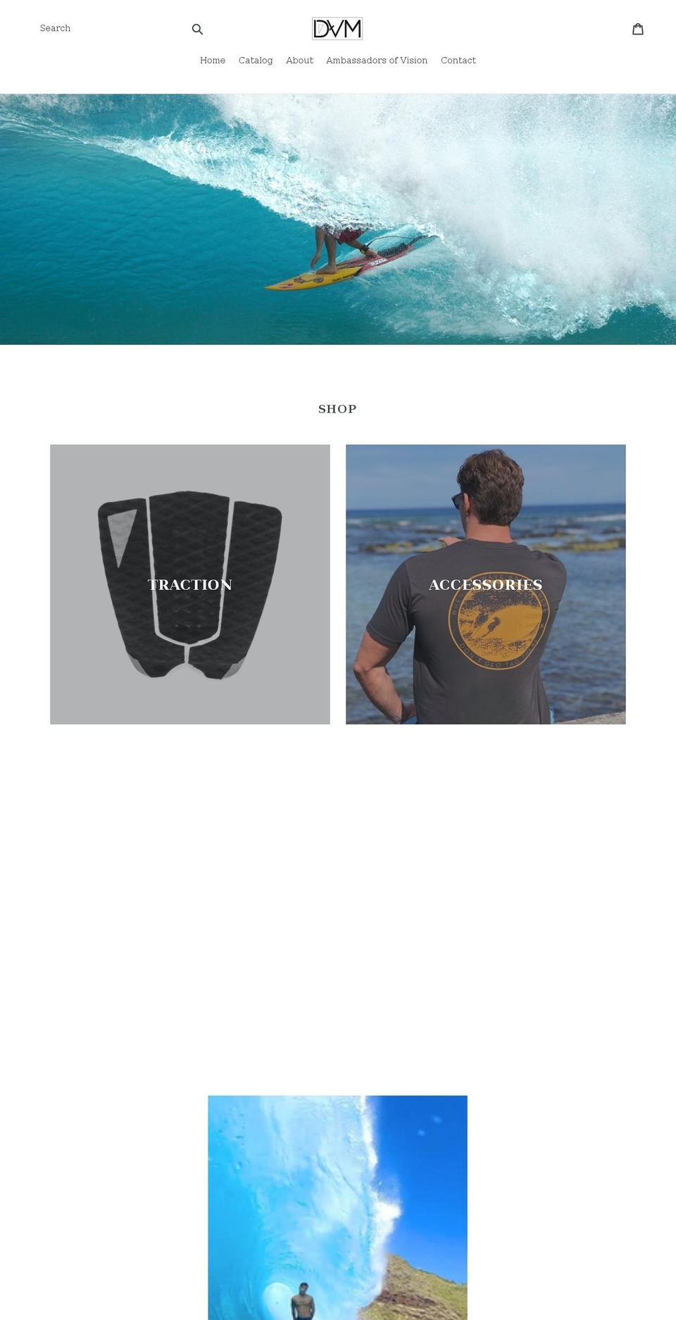 dedicatedtovisionaryminds.com shopify website screenshot