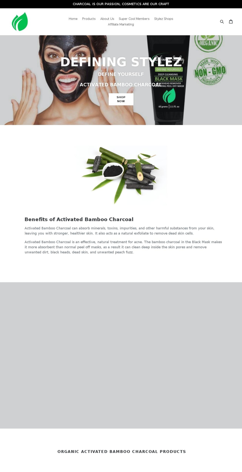 definingstylez.com shopify website screenshot