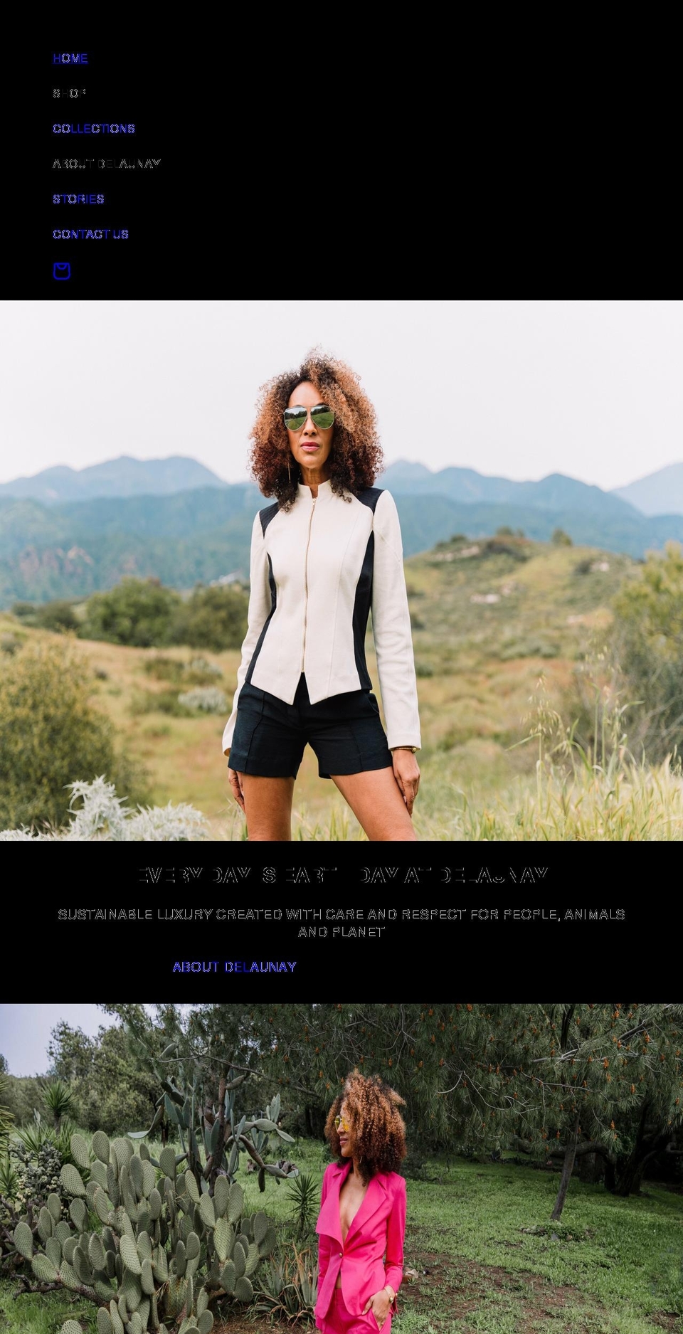 delaunaycollection.com shopify website screenshot