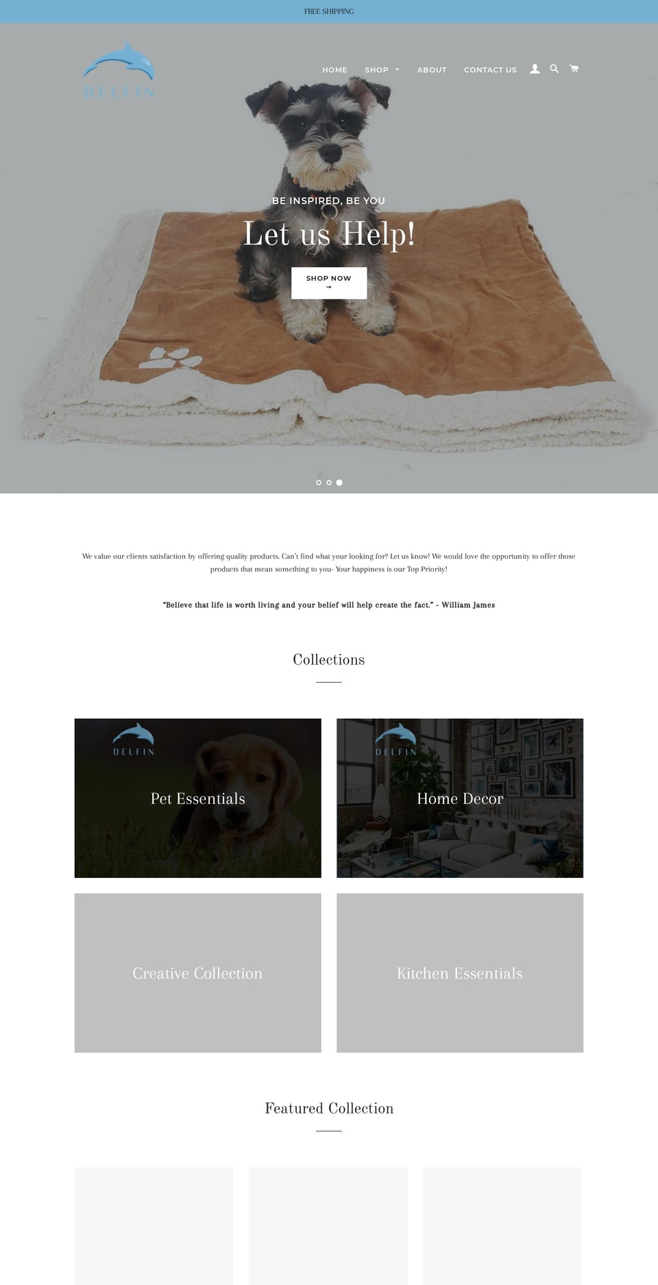 delfinpools.com shopify website screenshot