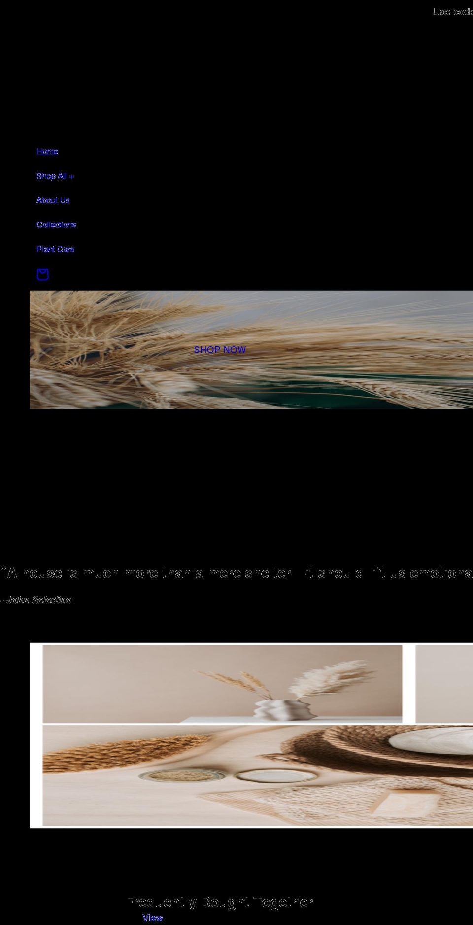 deliberatedecor.com shopify website screenshot