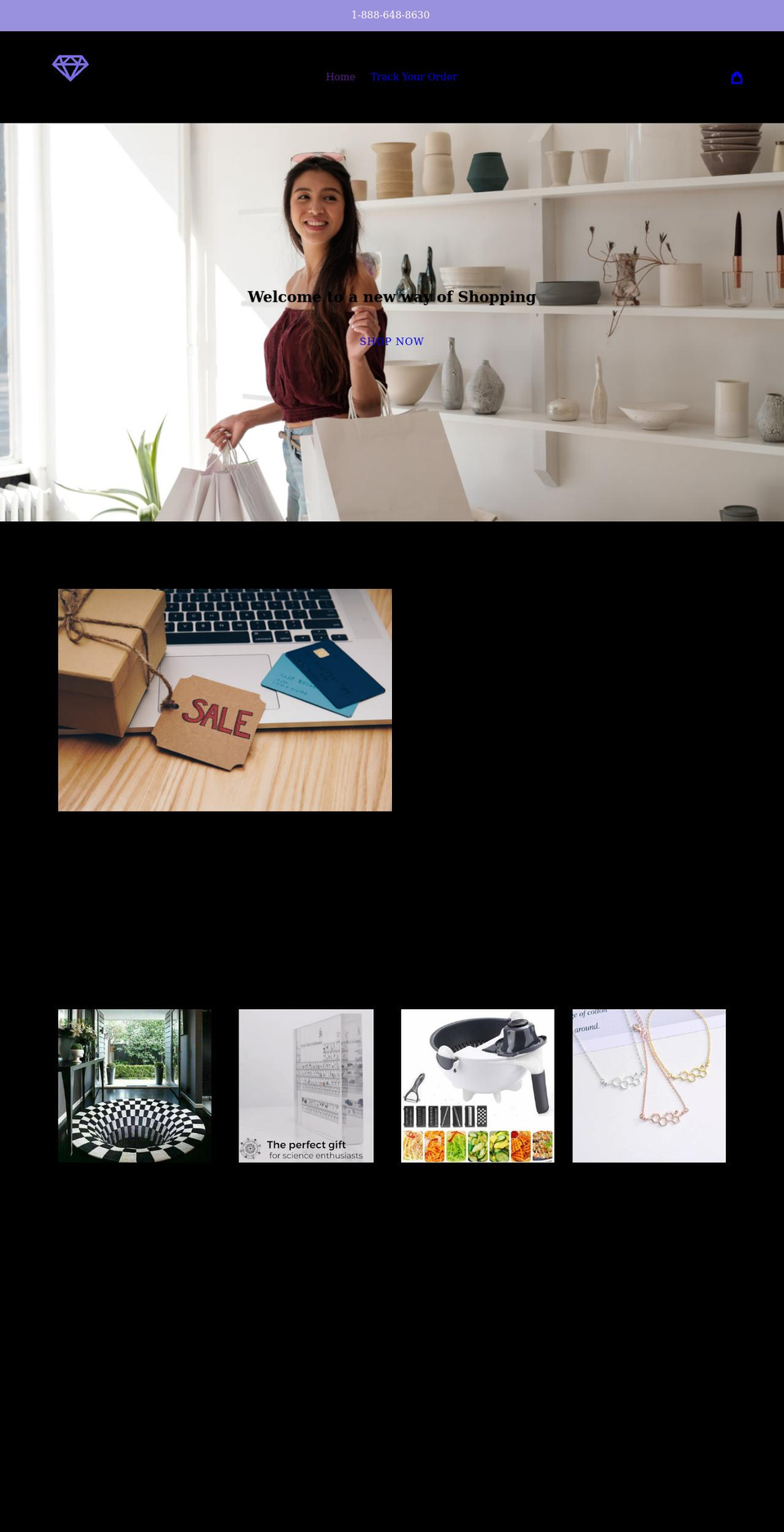 delightery.com shopify website screenshot