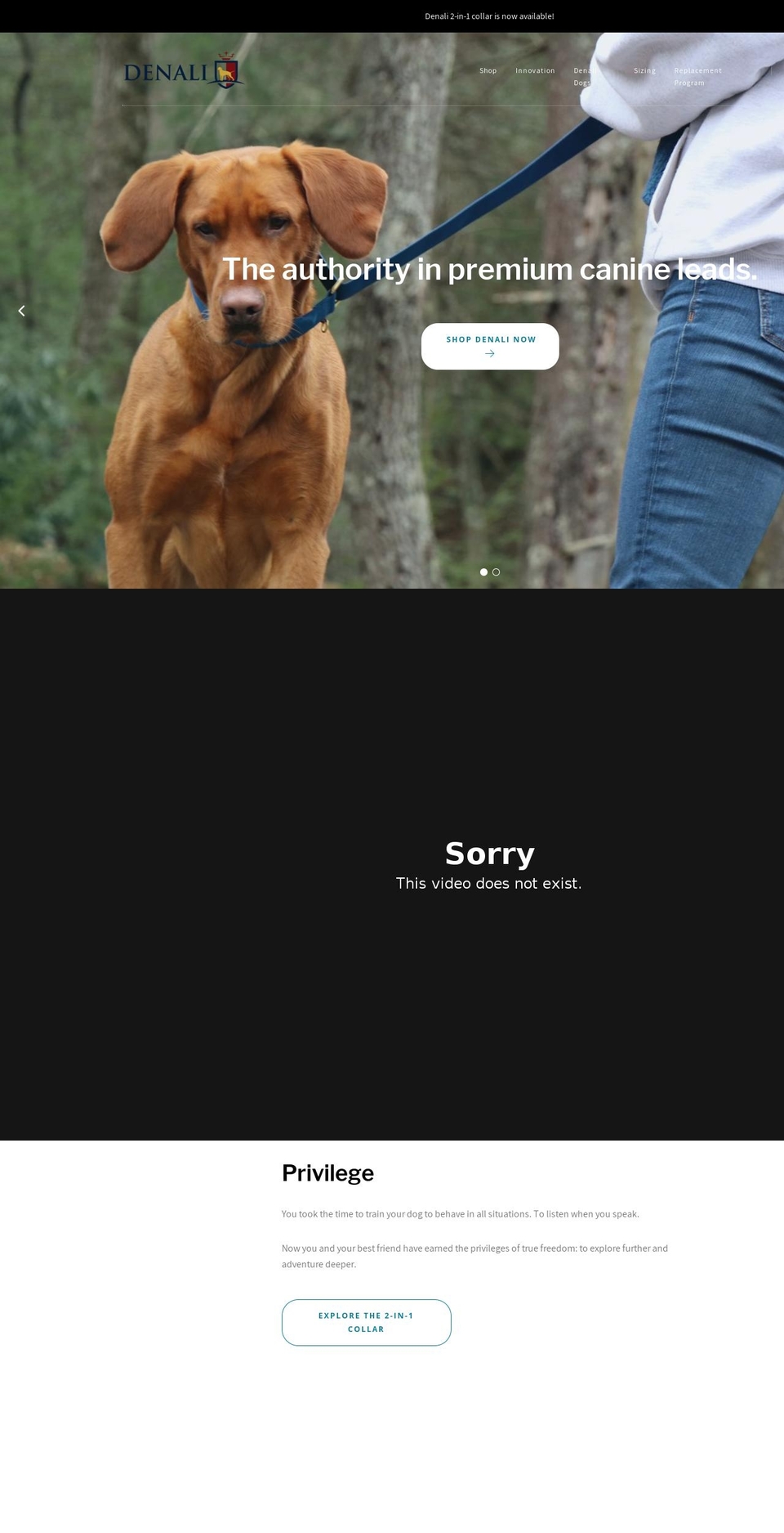 deltaleash.com — Shopify storefront screenshot
