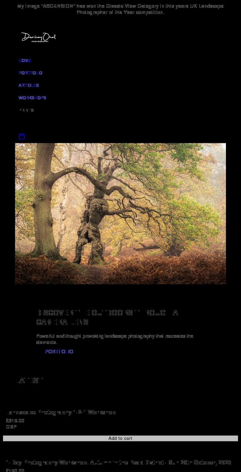 demirayoral.com shopify website screenshot