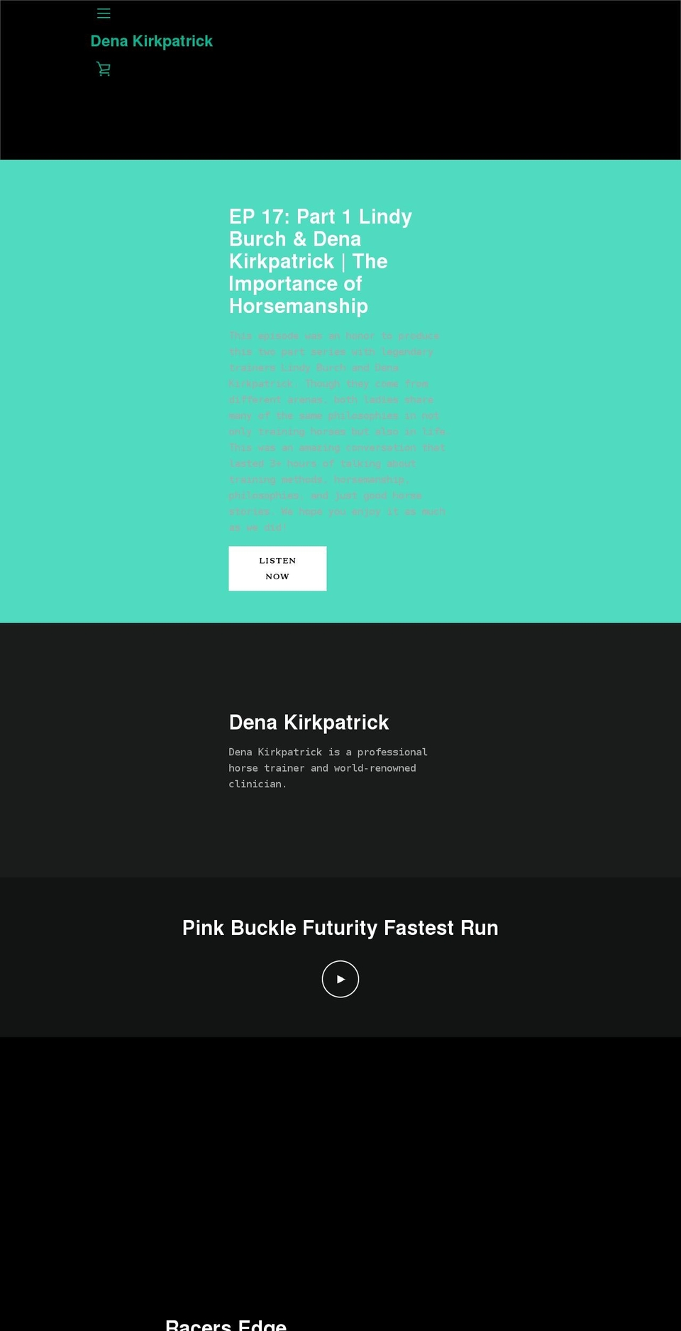 denakirkpatrick.com shopify website screenshot