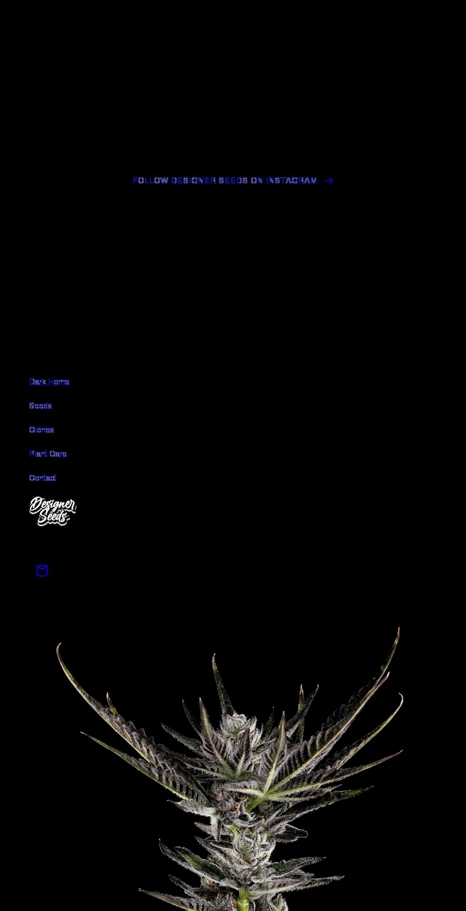 designerseed.com shopify website screenshot