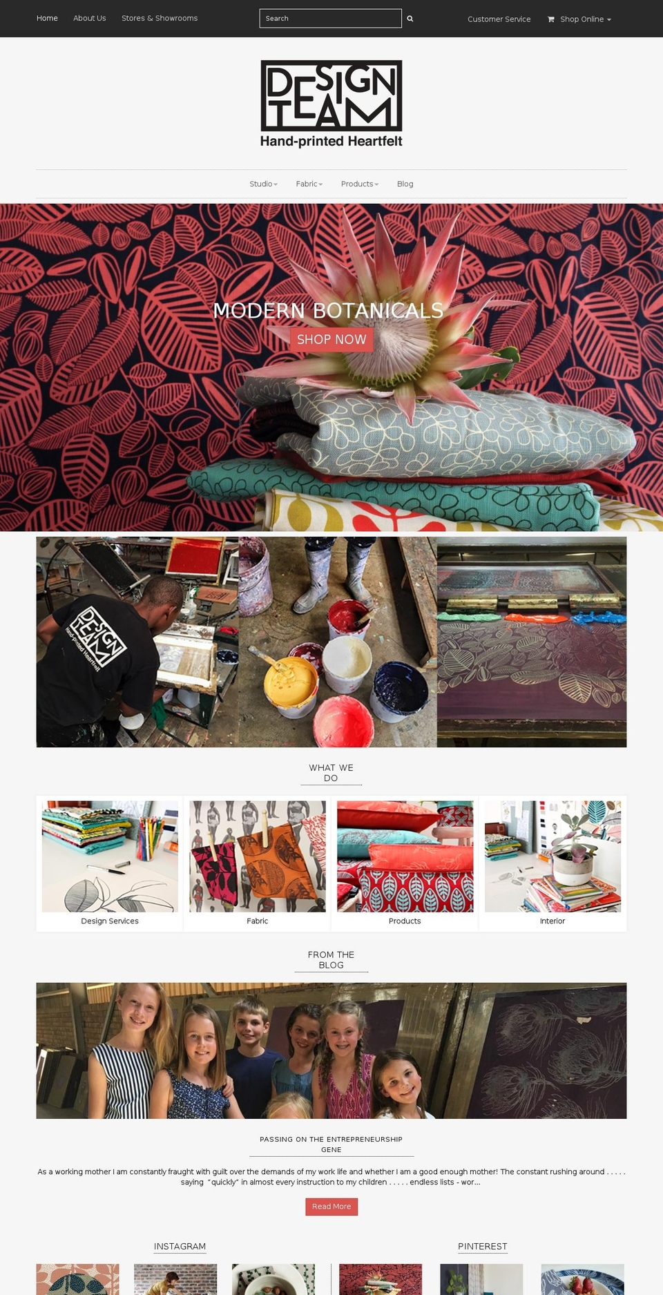 designteamfabrics.co.za shopify website screenshot