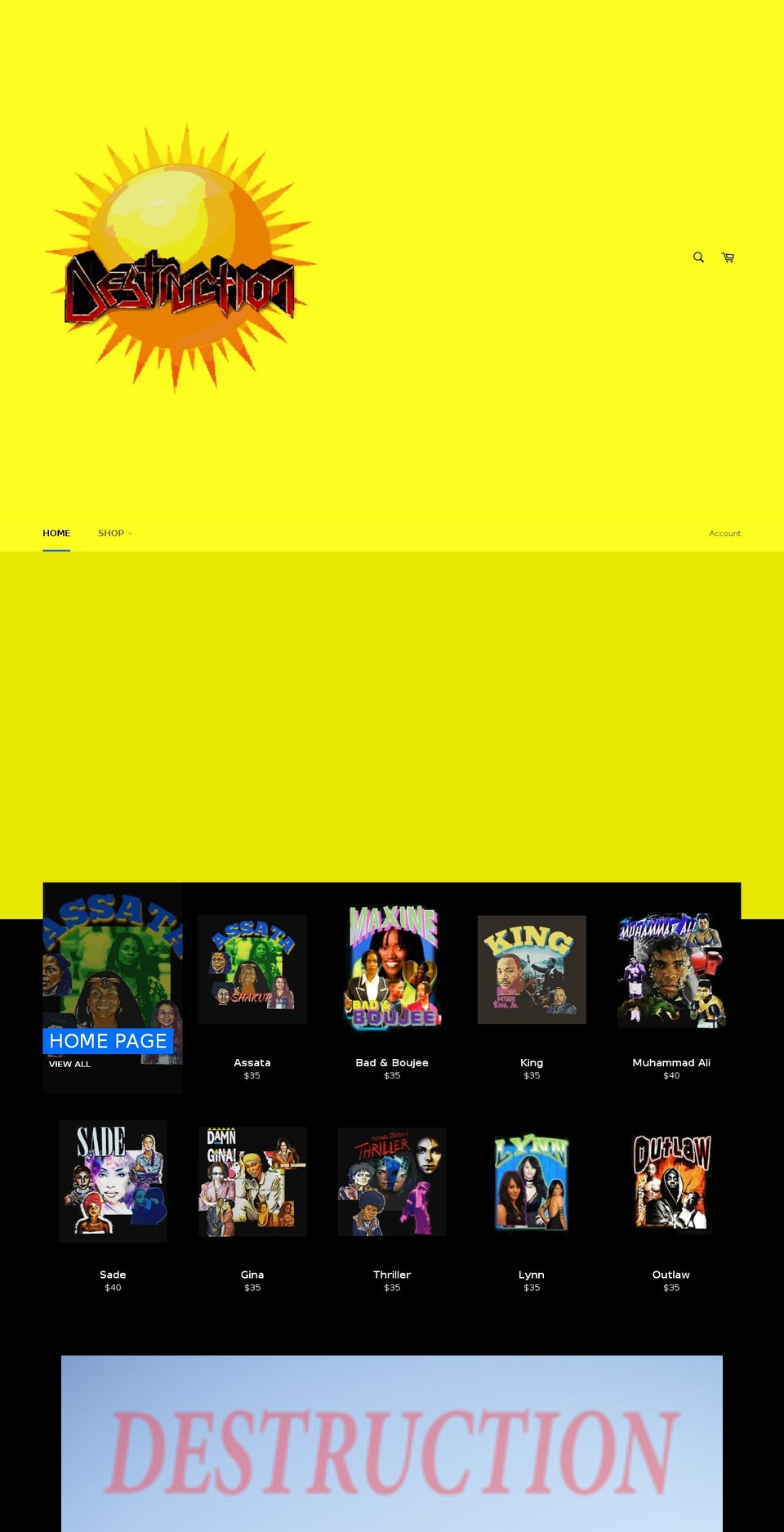 destructiontees.com — Shopify storefront screenshot