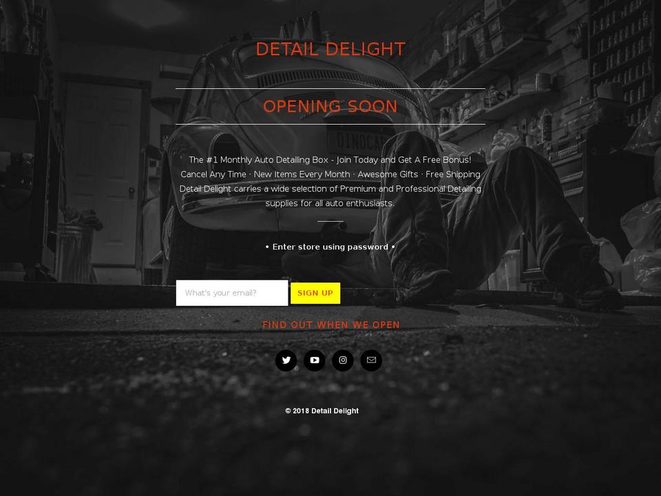 detaildelight.com — Shopify storefront screenshot