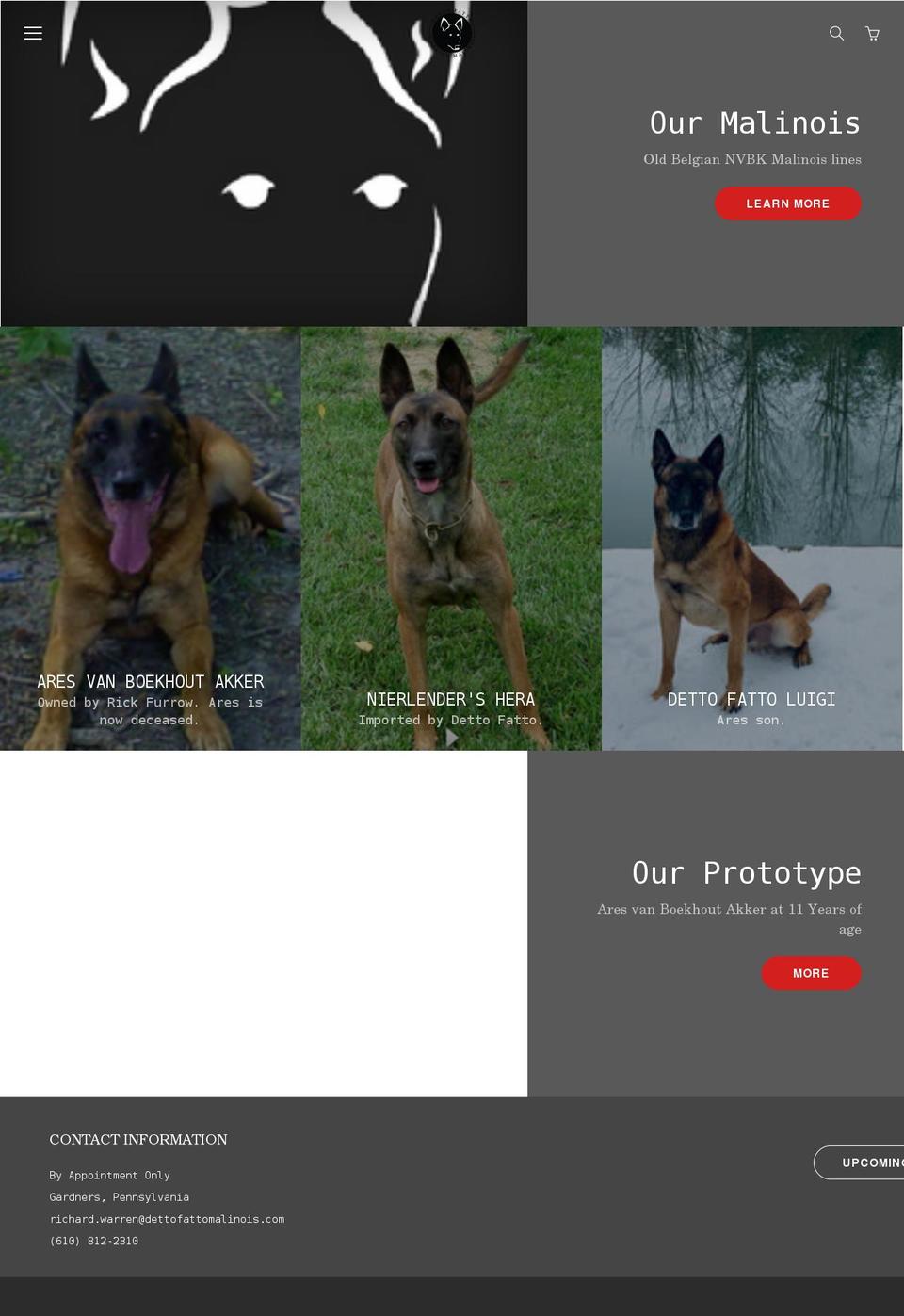 dettofattomalinois.com shopify website screenshot