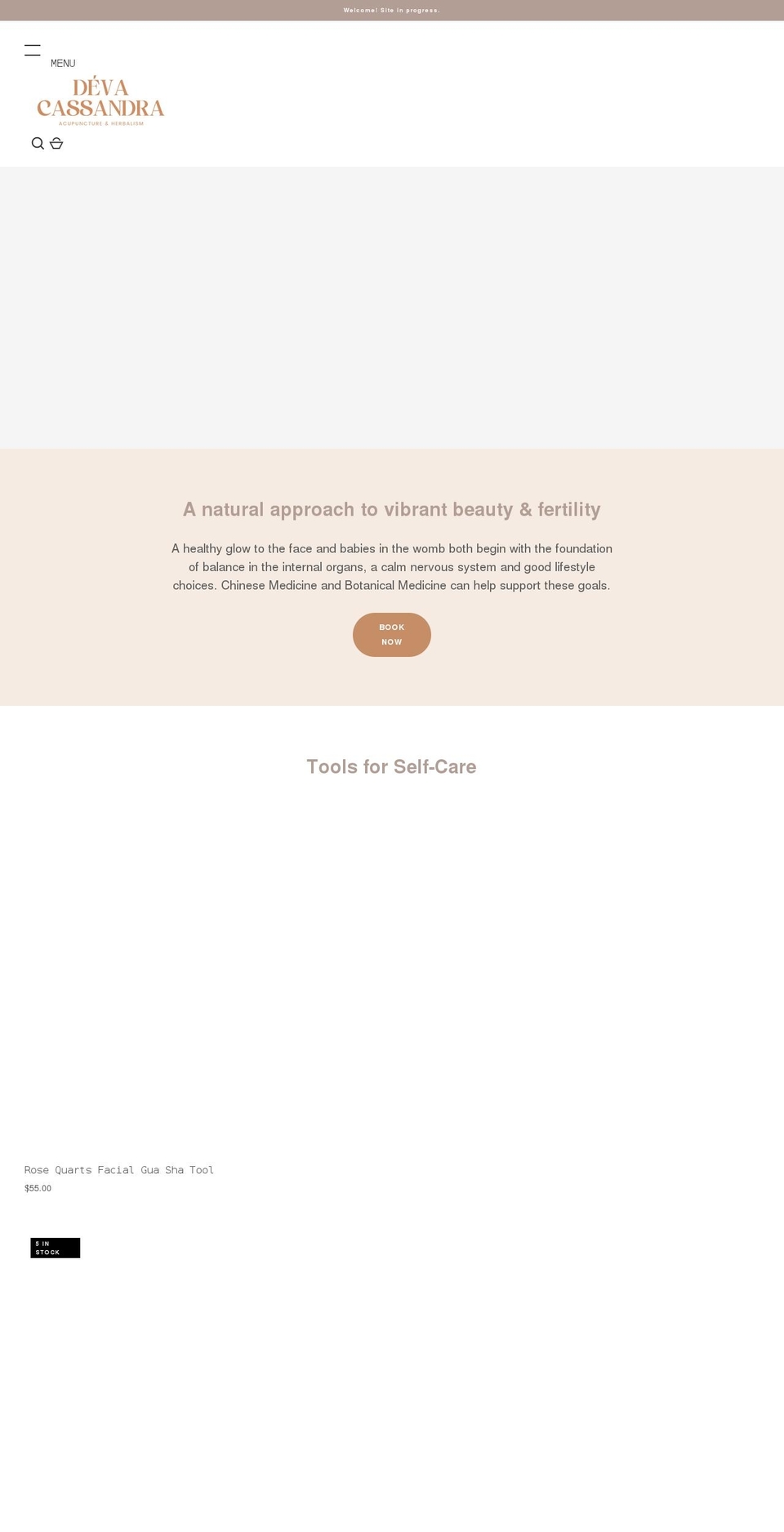 devacassandra.com shopify website screenshot