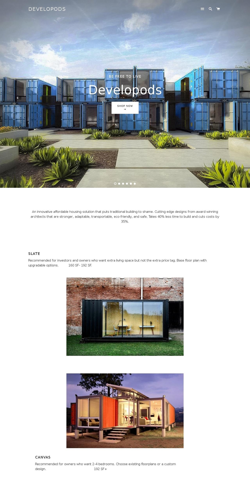 developods.com shopify website screenshot