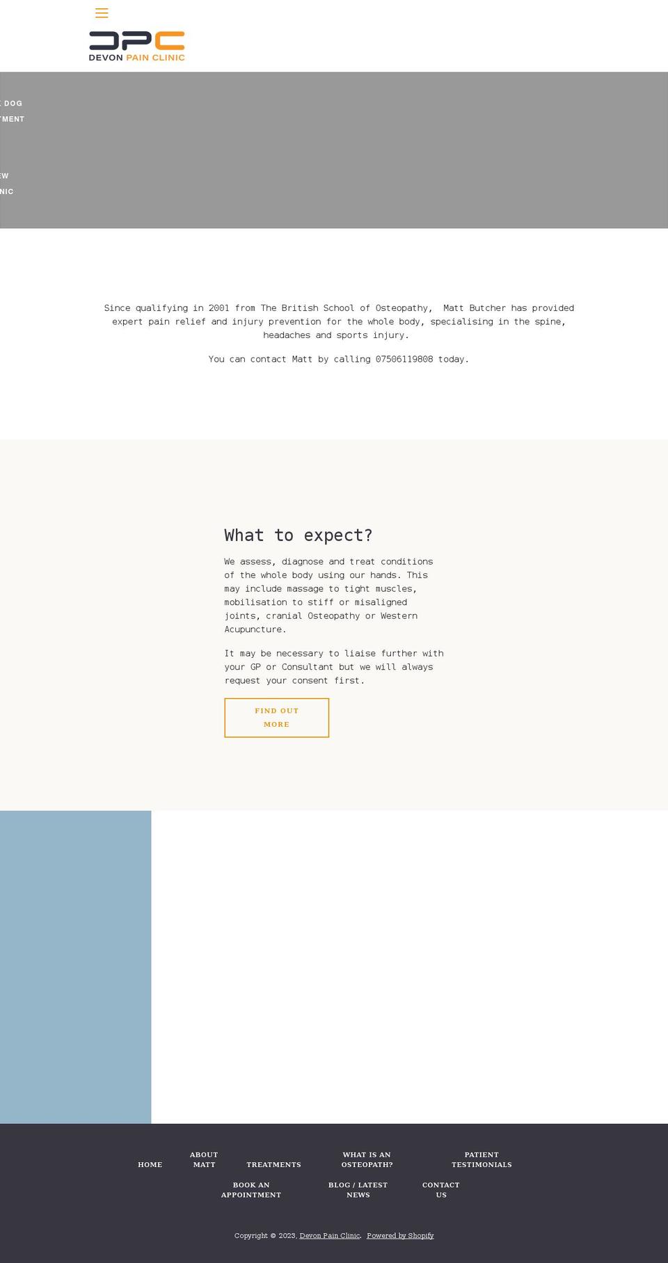 devonpainclinic.com shopify website screenshot