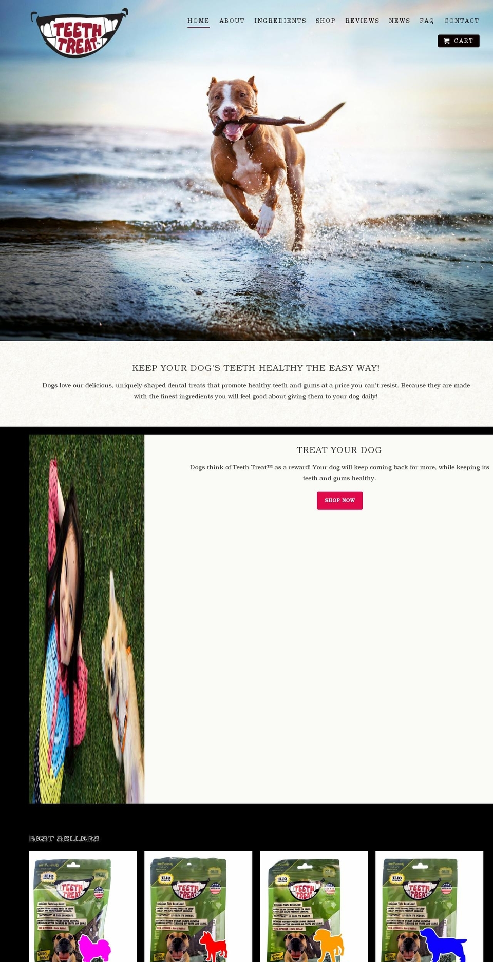 devstore-teethtreatusa-com.myshopify.com shopify website screenshot