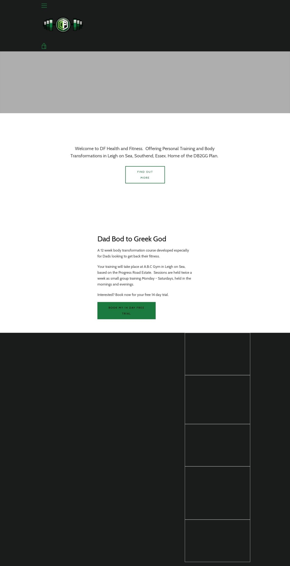 dfhealthandfitness.com — Shopify storefront screenshot