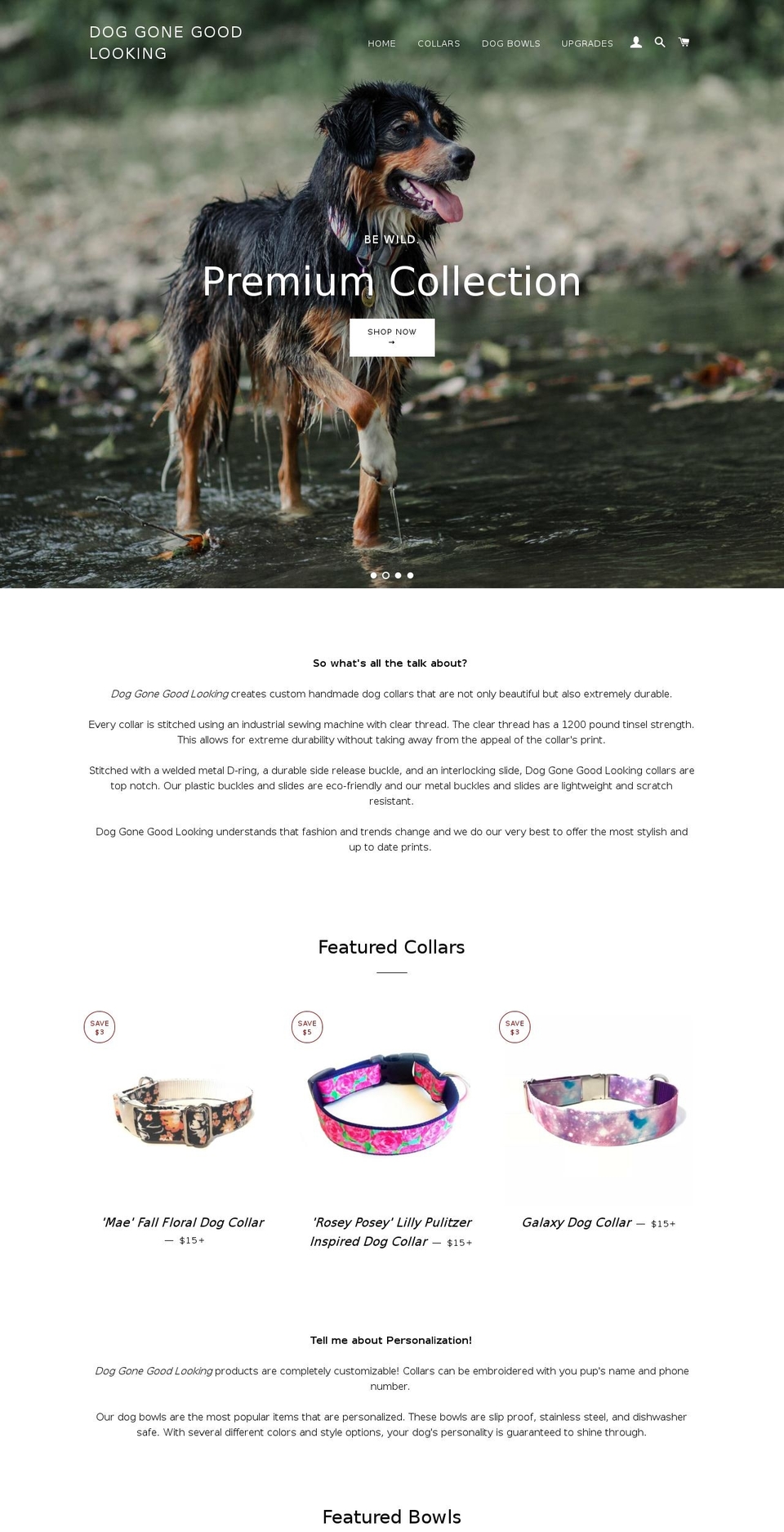 dgglpetboutique.com — Shopify storefront screenshot