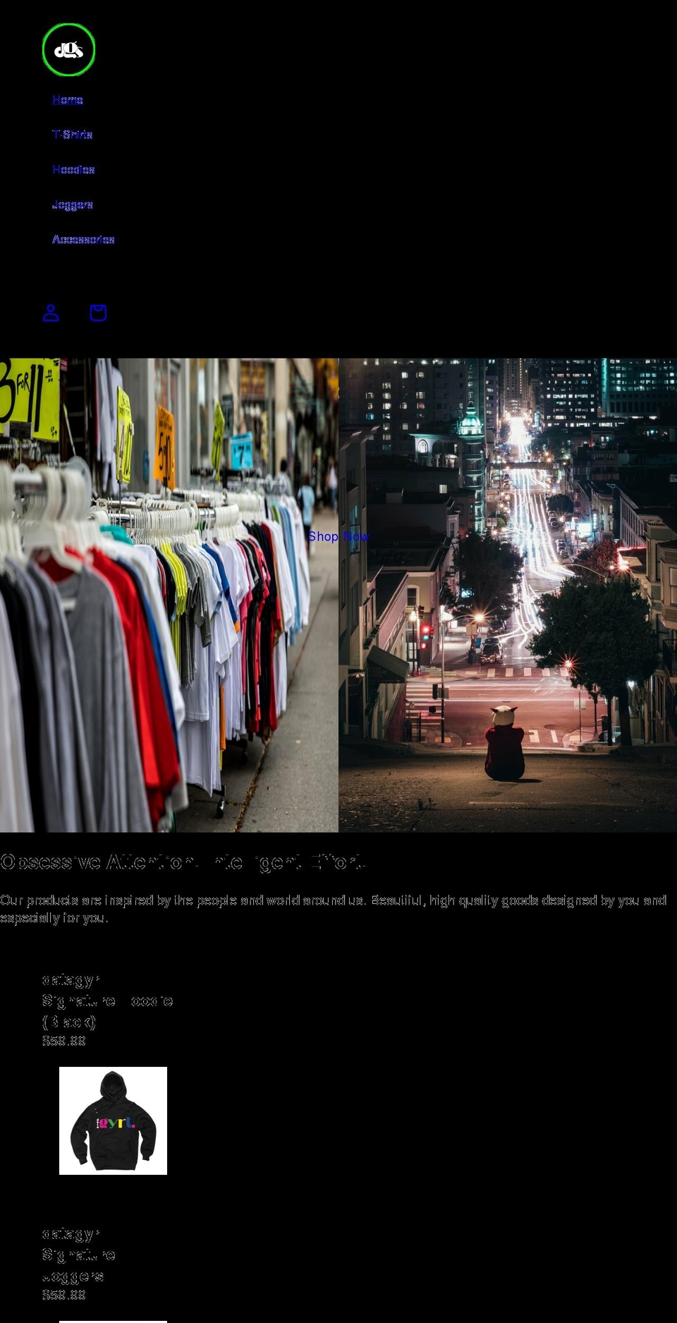 dgs.store shopify website screenshot