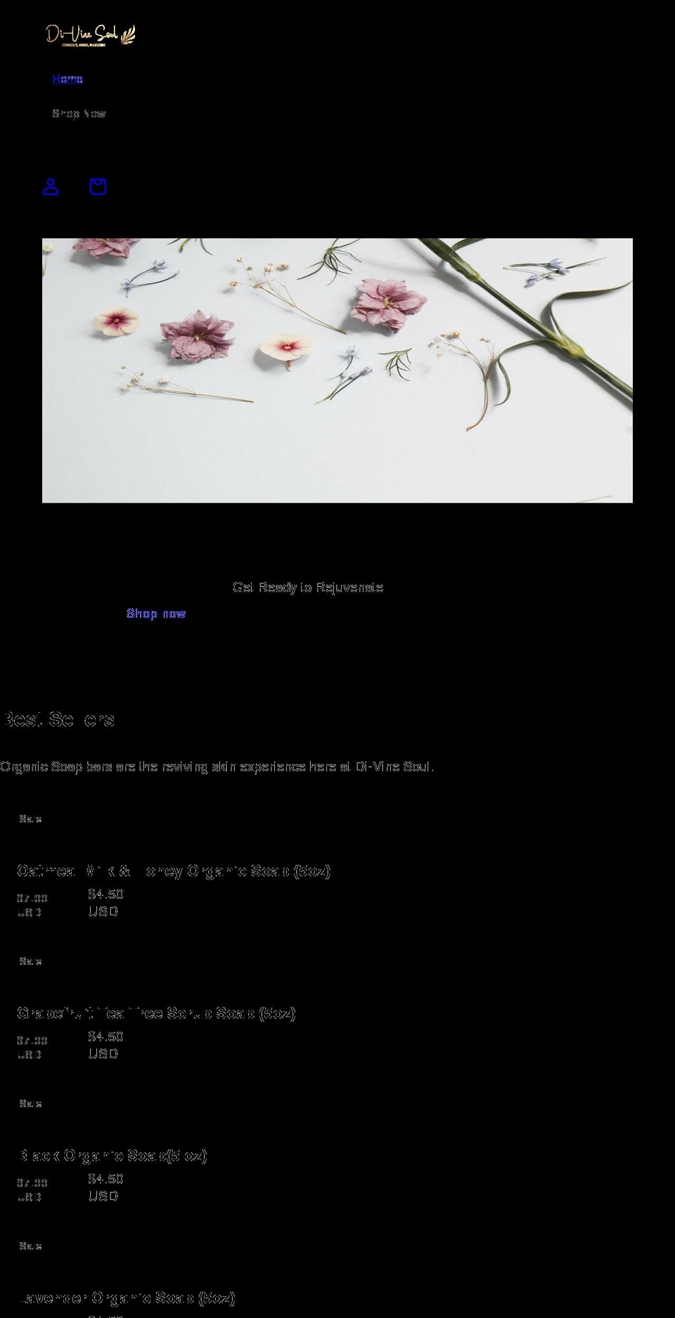 di-vinesoul.com shopify website screenshot
