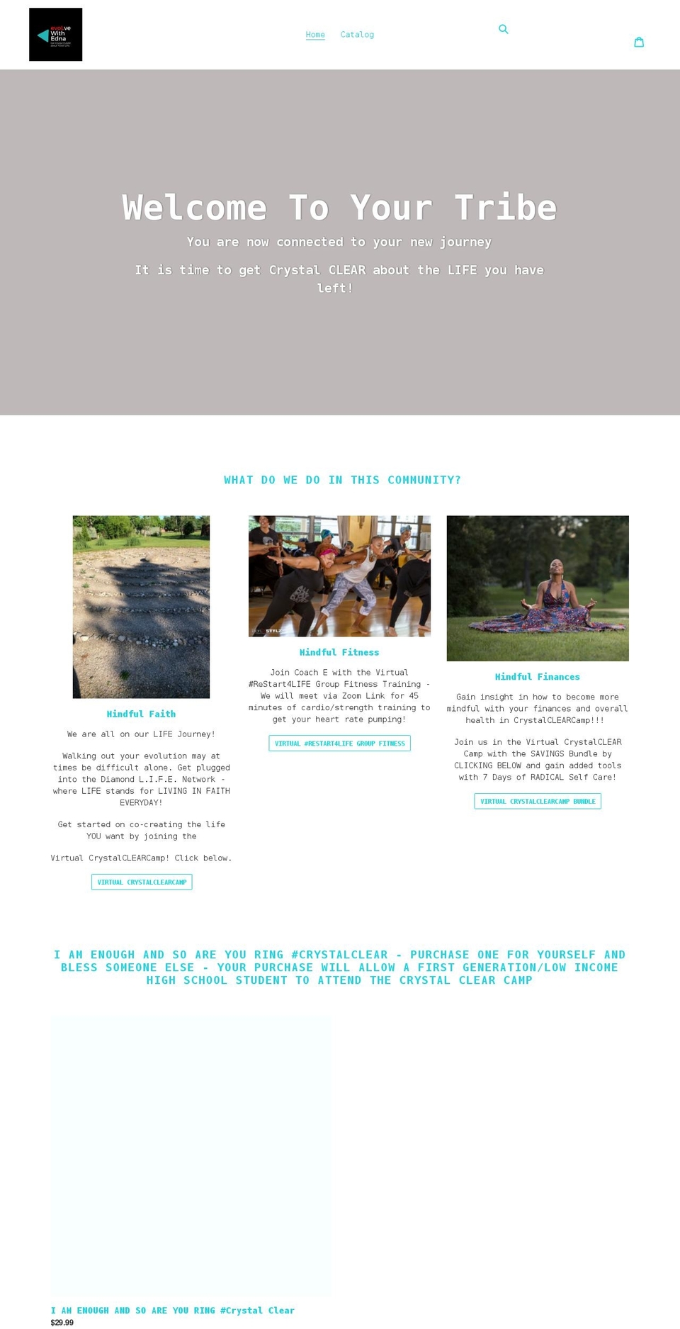 diamondlifenetwork.com shopify website screenshot