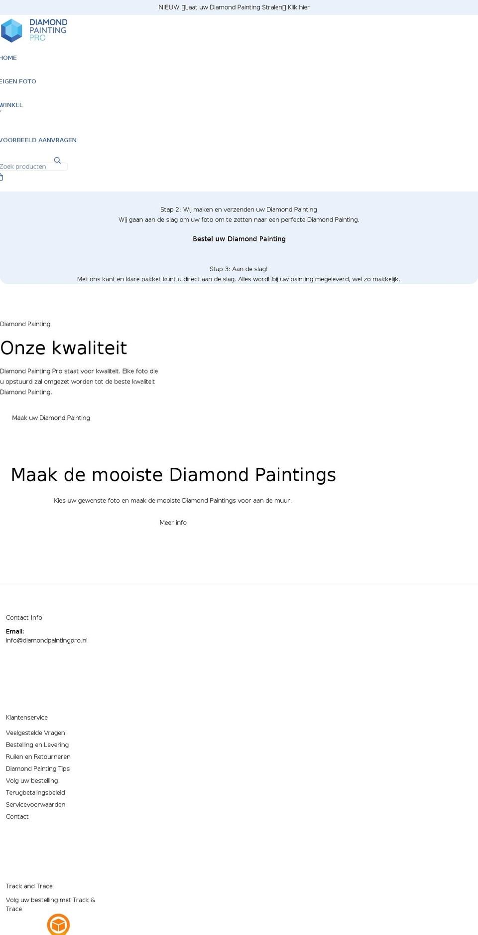 diamondpaintingpro.nl shopify website screenshot