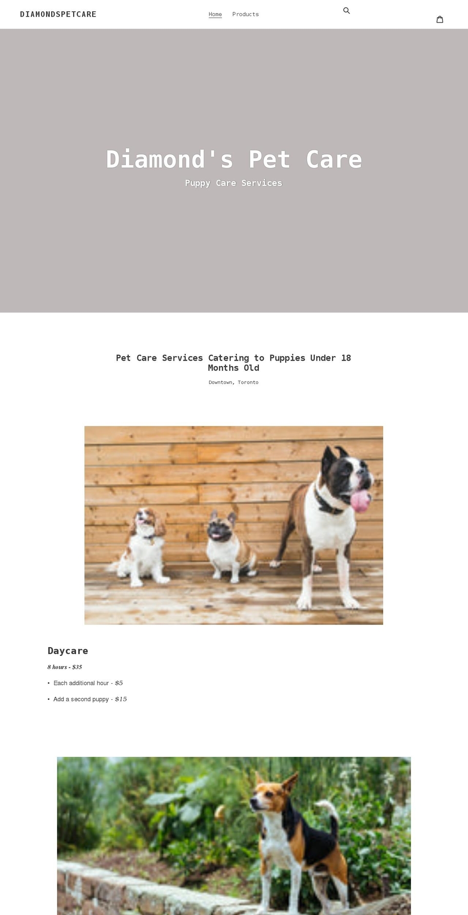 diamondspetcare.com shopify website screenshot