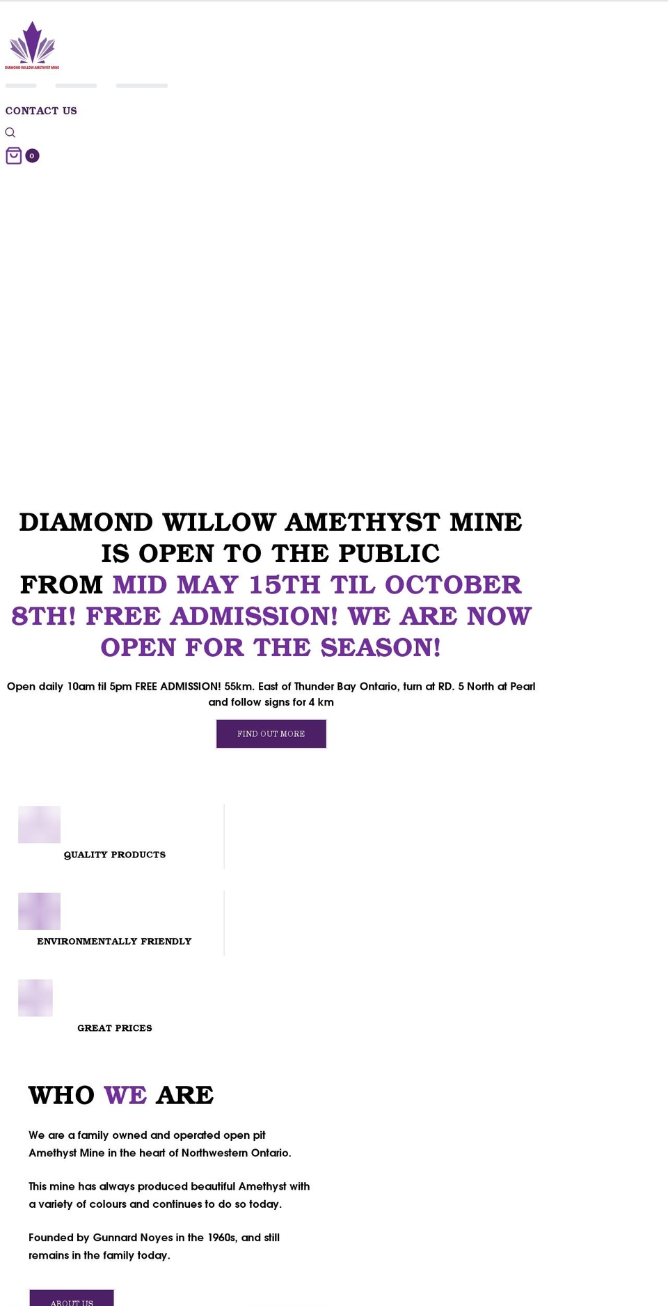 diamondwillowamethyst.com shopify website screenshot