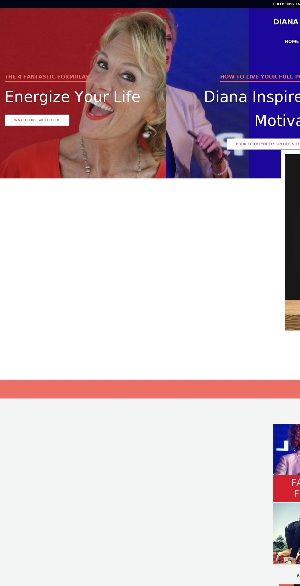 dianadentinger.com shopify website screenshot