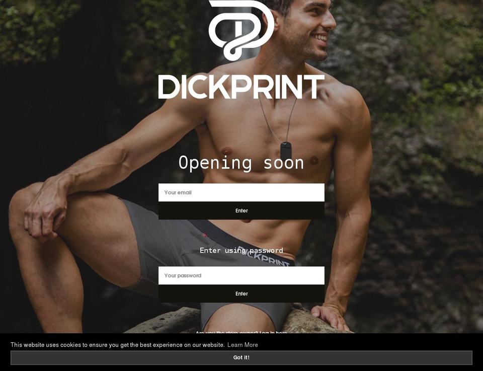 dickprint.com shopify website screenshot
