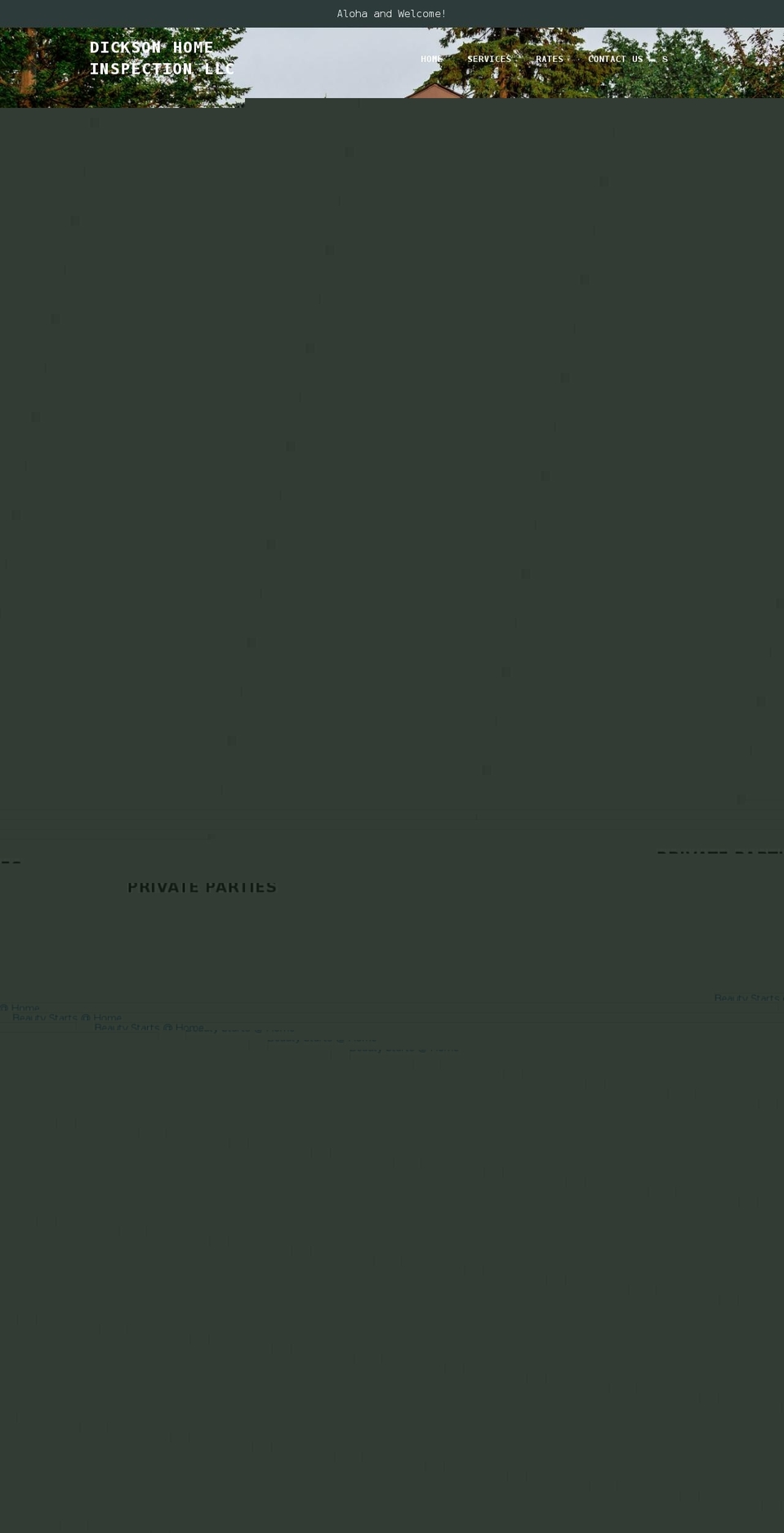 dicksonhomeinspection.com shopify website screenshot