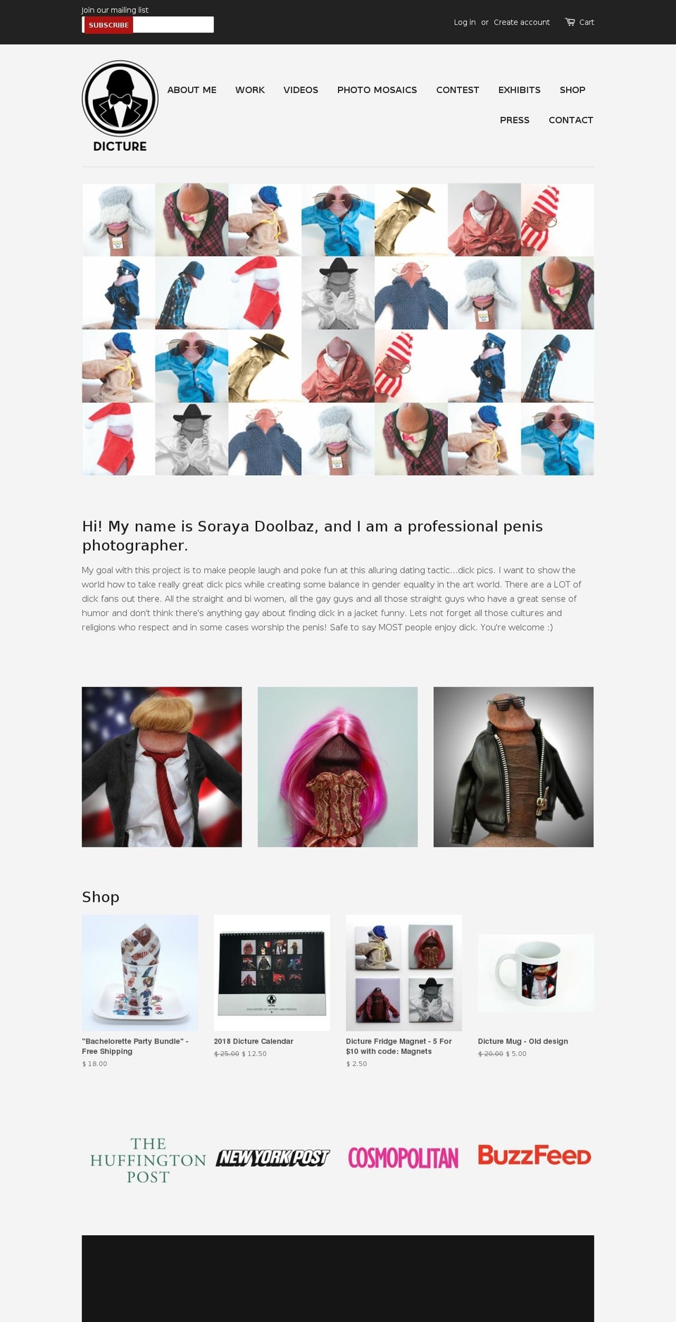 dicture.com shopify website screenshot