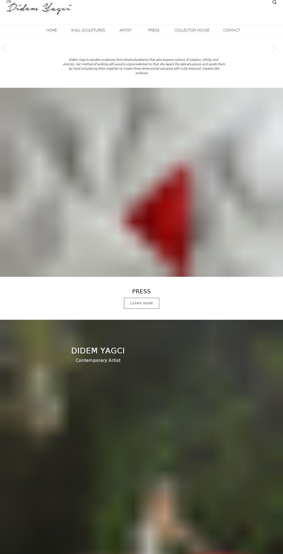 didemyagci.com shopify website screenshot