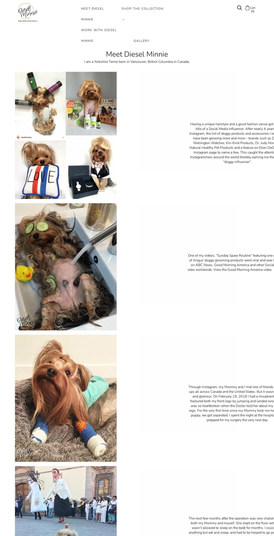 dieselminniecollection.com — Shopify storefront screenshot