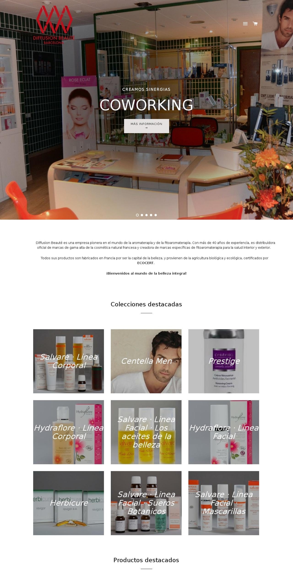 diffusion-beaute.com — Shopify storefront screenshot
