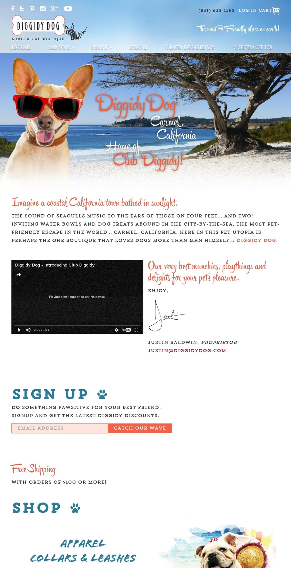 diggidydogcarmel.com shopify website screenshot