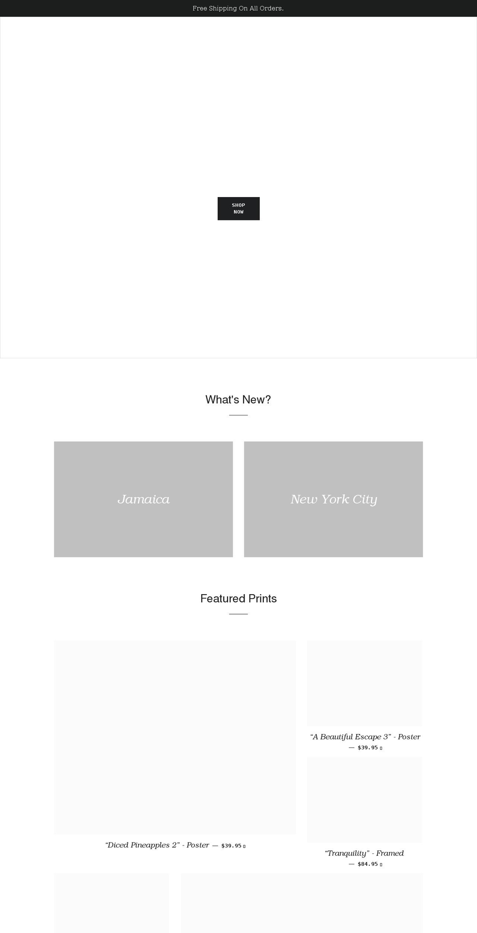 digitalhorizonsstudio.com shopify website screenshot