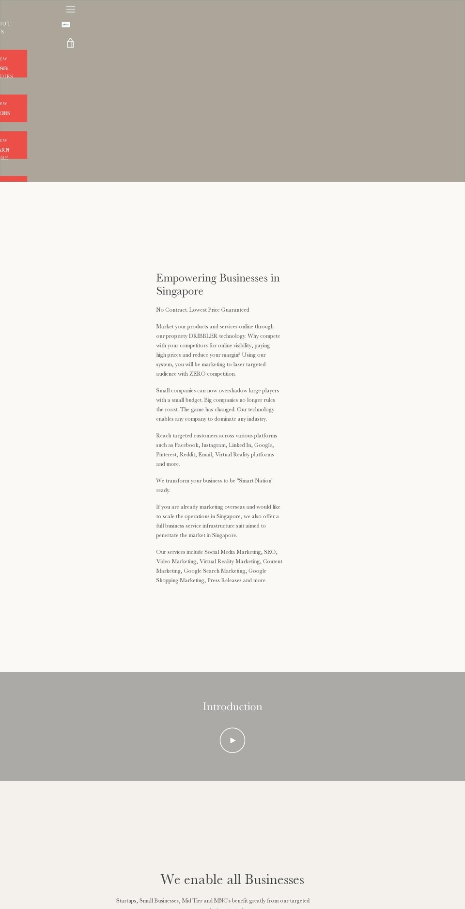 digitalmarketingperception.com — Shopify storefront screenshot