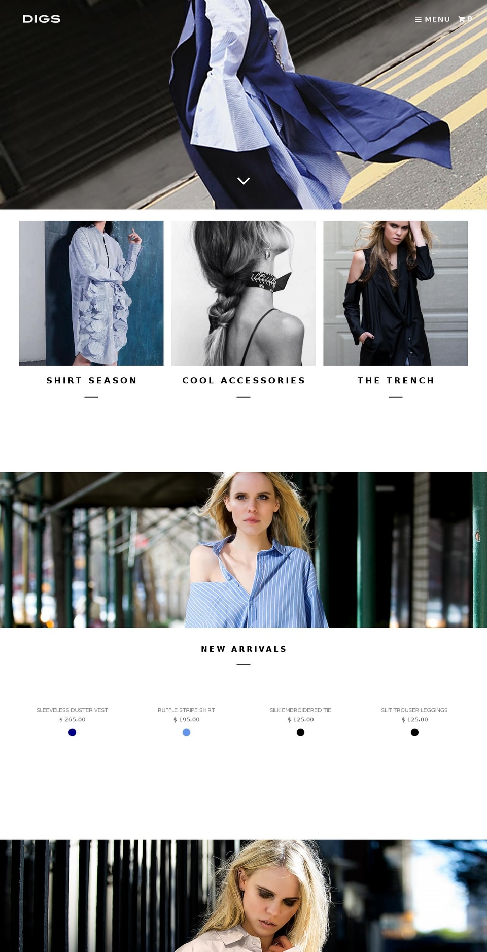 digsnewyork.com shopify website screenshot