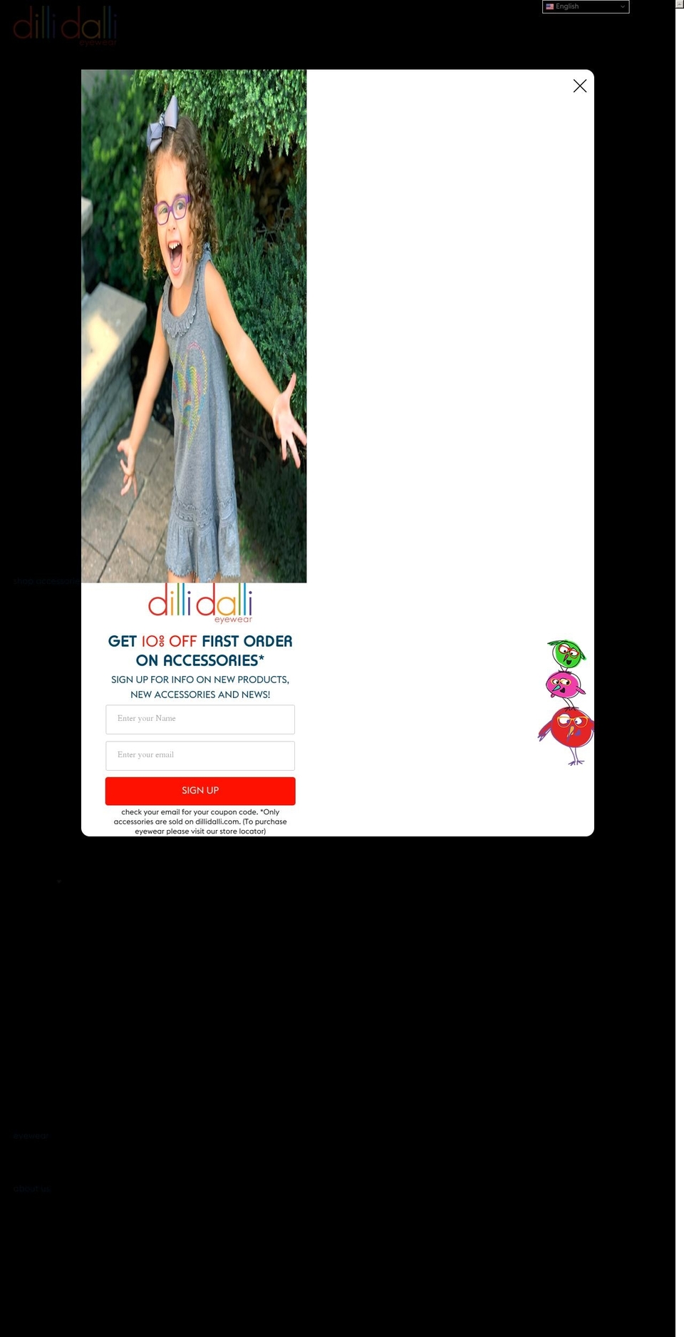 dillidalli.com shopify website screenshot
