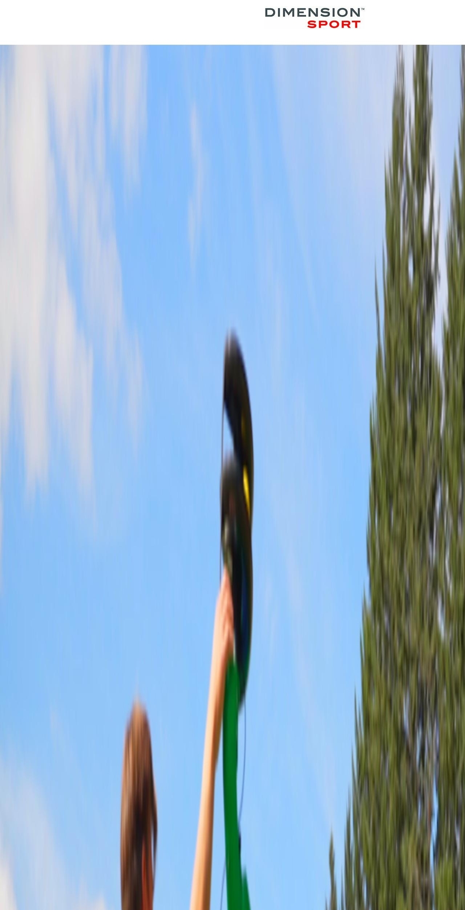 dimensionsport.com shopify website screenshot