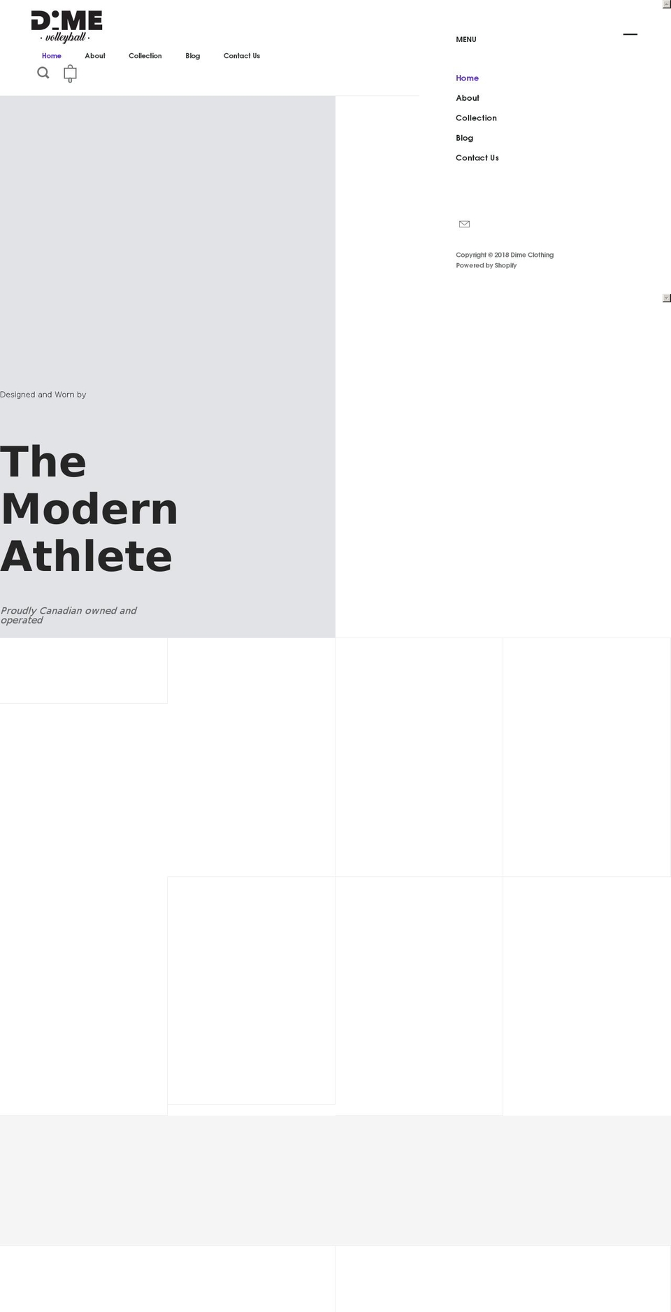 dimesupply.com — Shopify storefront screenshot