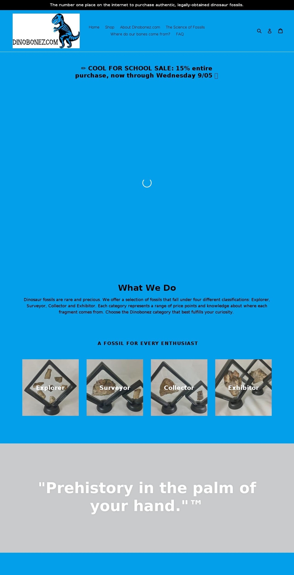 dinobonez.com shopify website screenshot