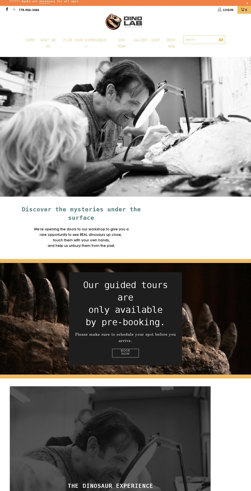 dinolabinc.ca shopify website screenshot